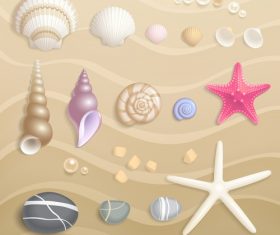 High quality Seashells vector set