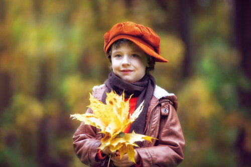 Little boy holding dead leaves Stock Photo