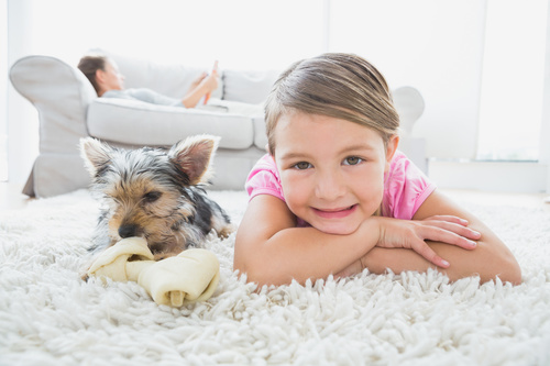 Little girl and pet dog lying on the carpet Stock Photo