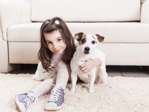 Little girl and pet dog sitting on the carpet Stock Photo