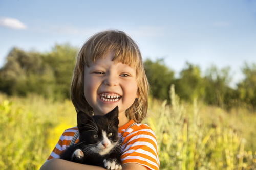 Little girl holding a kitten Stock Photo