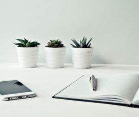 Mobile phone and notepad potted plant Stock Photo