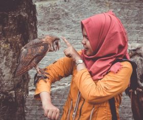 Owls and trainers Stock Photo