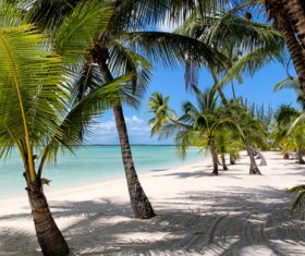 Palm Island Bahamas Stock Photo 02