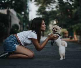 Pet dog and owner Stock Photo