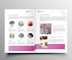 Pink sytles brochure cover template vector 04