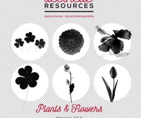 Plants and Flowers Photoshop Brushes
