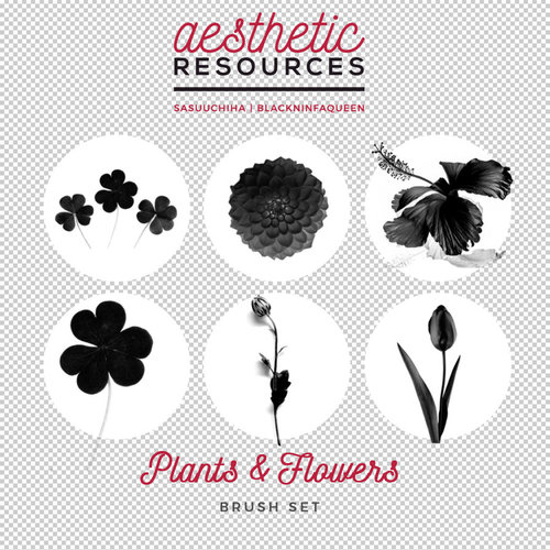 Plants and Flowers Photoshop Brushes