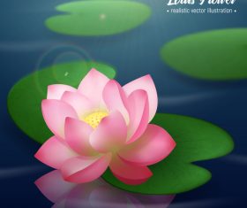 Realistic lotus background vector