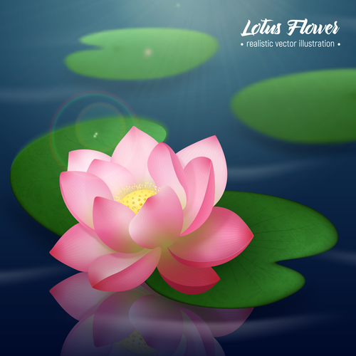 Realistic lotus background vector