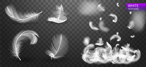Realistic white feather design vector illustration 03