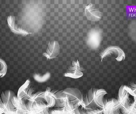 Realistic white feather design vector illustration 05