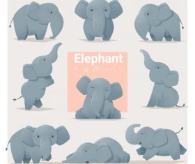 Set of Elephant family cartoon vector