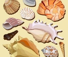 Set realistic seashells isolated on white background 3