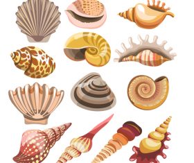 Set realistic seashells isolated on white background 4