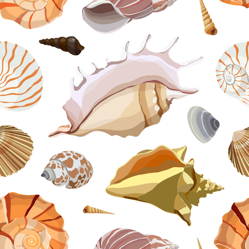 Shells and conch seamless pattern vector