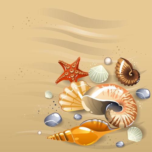 Starfishes and shell with beach background vector 01