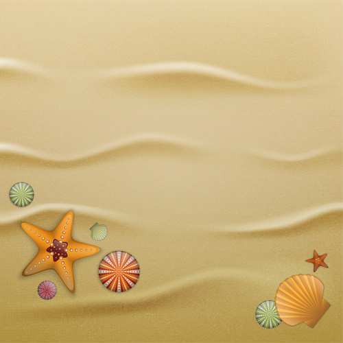 Starfishes and shell with beach background vector 02