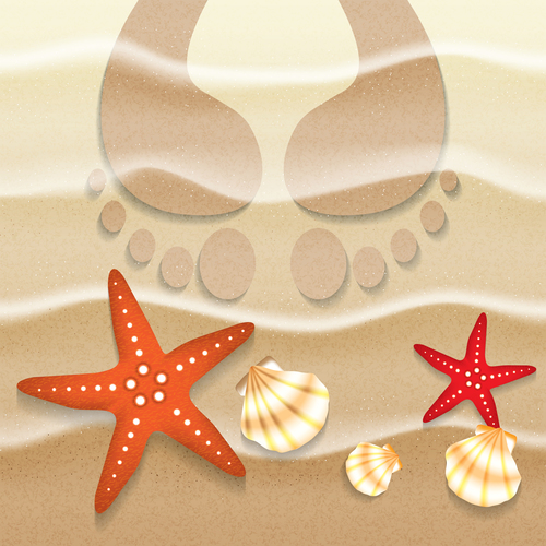 Starfishes and shells summer background vector 02