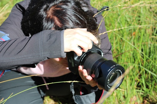 Stock Photo People photographing nature