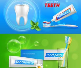 Tooth realistic vector