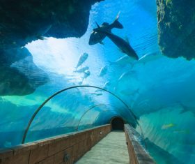 Underwater aquarium Stock Photo
