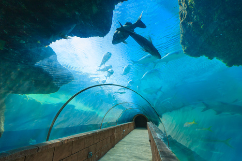 Underwater aquarium Stock Photo