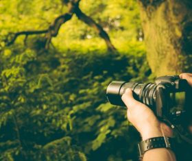 Use smart digital camera to capture natural scenery Stock Photo
