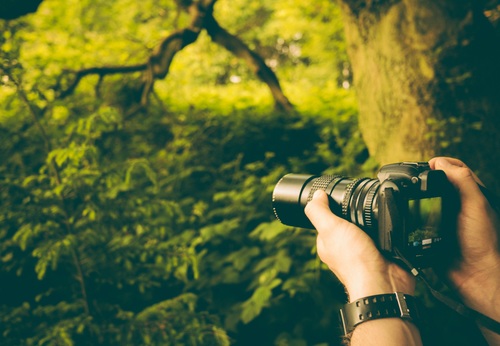Use smart digital camera to capture natural scenery Stock Photo