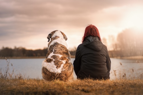 Woman and pet dog sitting by the river Stock Photo
