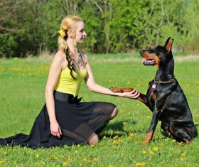Woman training dog on the grass Stock Photo