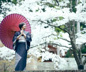 Woman wearing Japanese national costume watching cherry blossoms Stock Photo 03