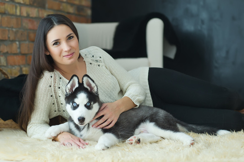 Woman with puppies husky Stock Photo 03