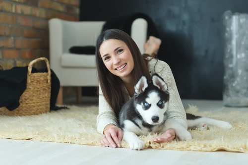 Woman with puppies husky Stock Photo 04