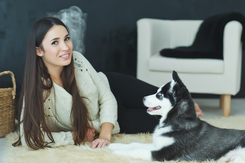 Woman with puppies husky Stock Photo 06