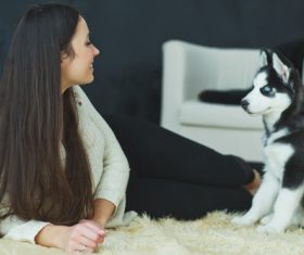 Woman with puppies husky Stock Photo 08