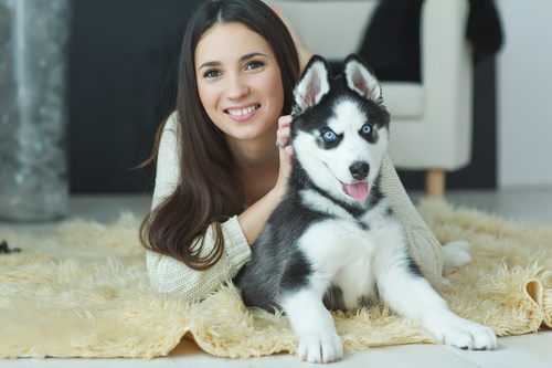 Woman with puppies husky Stock Photo 09