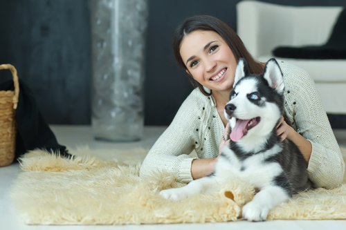 Woman with puppies husky Stock Photo 10