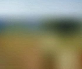 blurred textured background design vector 15