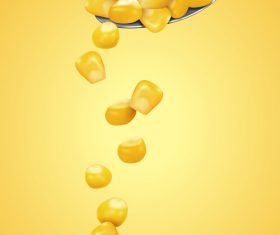 corn kernels vector illustration