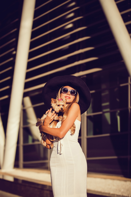 fashion woman is holding pet dog posing Stock Photo 04