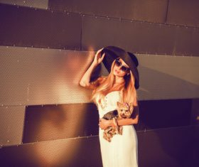 fashion woman is holding pet dog posing Stock Photo 12