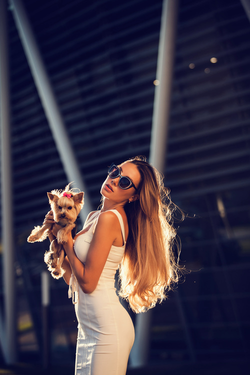fashion woman is holding pet dog posing Stock Photo 15