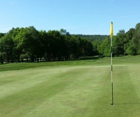 golf course Stock Photo 01