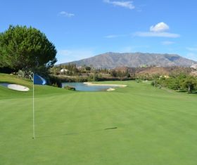 golf course Stock Photo 02