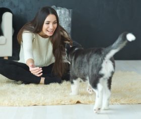 puppies husky and girl play Stock Photo 01