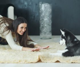 puppies husky and girl play Stock Photo 03