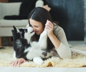 puppies husky and girl play Stock Photo 05