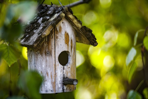 wooden bird nest Stock Photo