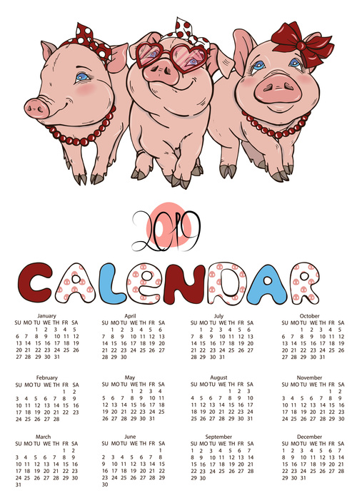 2019 calendar with pig year design vector 04